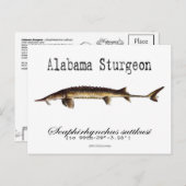 Alabama-White-Briefkaart Briefkaart (Voorkant / Achterkant)