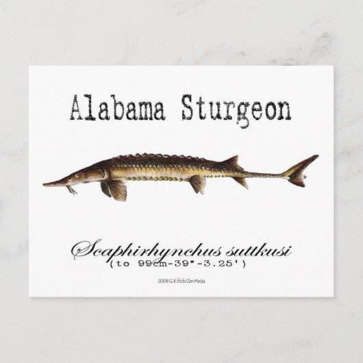 Alabama-White-Briefkaart Briefkaart (Voorkant)