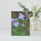 Alabama Wild Lavender Ageratum Wildbloemen Briefkaart (Staand voorkant)