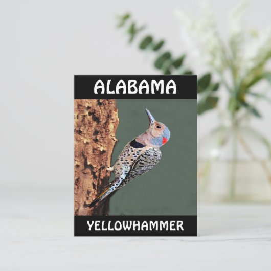 Alabama Yellowhammer Briefkaart (Staand voorkant)