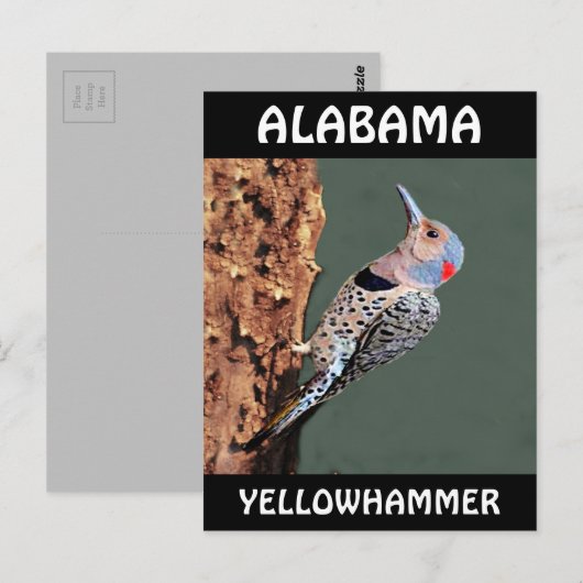 Alabama Yellowhammer Briefkaart (Voorkant / Achterkant)