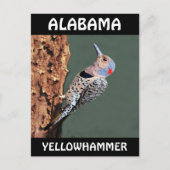 Alabama Yellowhammer Briefkaart (Voorkant)