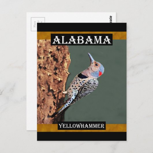 Alabama Yellowhammer Briefkaart (Voorkant / Achterkant)