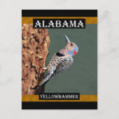 Alabama Yellowhammer Briefkaart (Voorkant)
