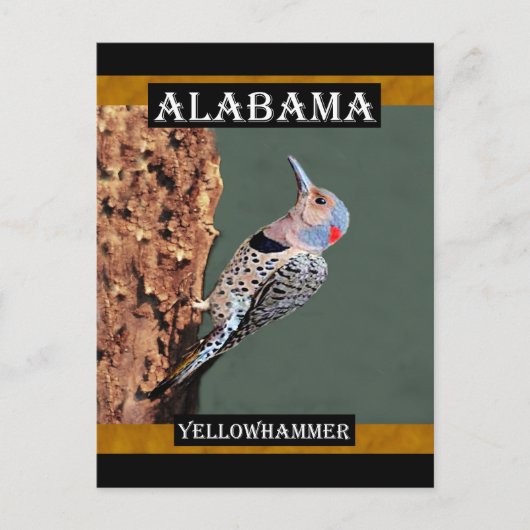 Alabama Yellowhammer Briefkaart (Voorkant)