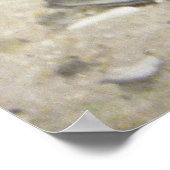 Alabama Zee Life #2 Poster (Hoek)