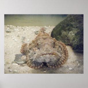 Alabama Zee Life #2 Poster