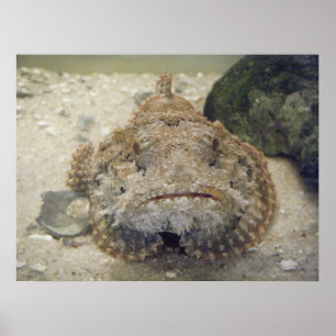 Alabama Zee Life #3 Canvas Poster