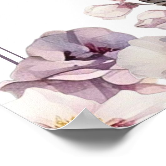 Alabaster Box Verjaardag Welkom Poster (Hoek)