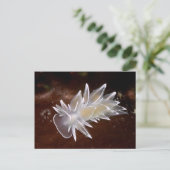 Alabaster Nudibranch - Briefkaart (Staand voorkant)