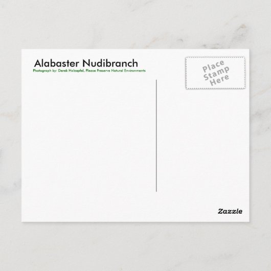Alabaster Nudibranch - Briefkaart (Achterkant)