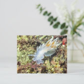 Alabaster Nudibranch - Briefkaart (Staand voorkant)