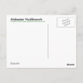 Alabaster Nudibranch - Briefkaart (Achterkant)