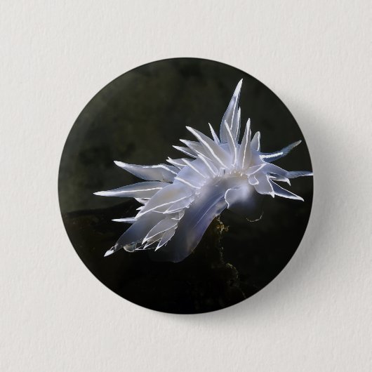 Alabaster Nudibranch Button (Voorkant)
