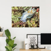 Alabaster Nudibranch - Fine Art Print (Thuiskantoor)