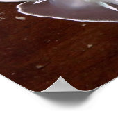 Alabaster Nudibranch - Fine Art Prints (Hoek)