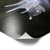 Alabaster Nudibranch Fotouitbreiding Foto Afdruk (Hoek)