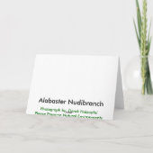 Alabaster Nudibranch - Kaarten (Achterkant)