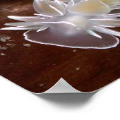 Alabaster Nudibranch - Kunstuitgaven Poster (Hoek)