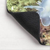 Alabaster Nudibranch Muismat (Hoek)