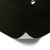 Alabaster Nudibranch Poster (Hoek)