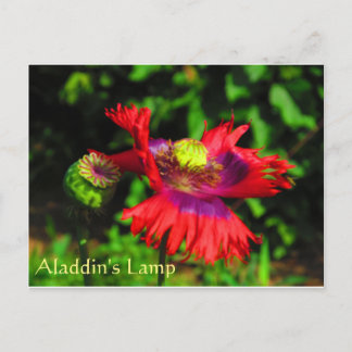 Aladdin's lamp briefkaart