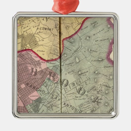 Alameda Co 2 Metalen Ornament (Voorkant)