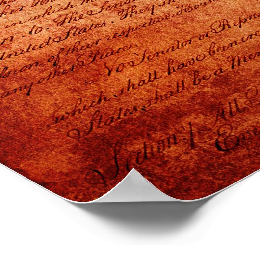 Alamo Flag Poster (Hoek)