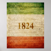 Alamo Flag Poster (Voorkant)