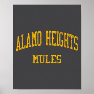 Alamo Heights High School Hs San Antonio Tx Antiek Poster