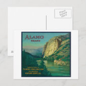 Alamo Oranje LabelFillmore, CA Briefkaart (Voorkant / Achterkant)