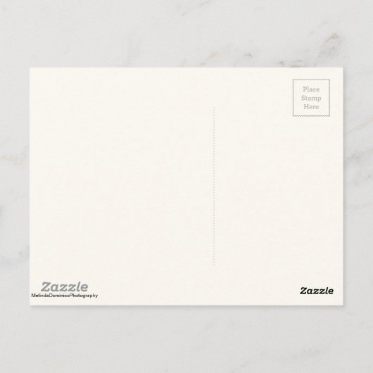 Alamo Standard-Briefkaart Briefkaart (Achterkant)