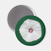 Alamo Vine Magneet (Voorkant / Achterkant)