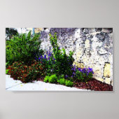 Alamobloemen Poster (Voorkant)