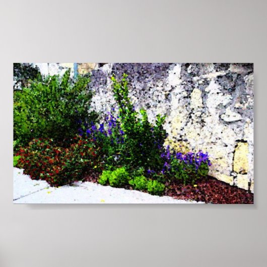 Alamobloemen Poster (Voorkant)