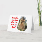 Alan Alan Alan Kaart (Voorkant)