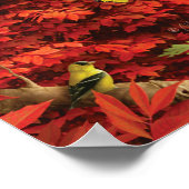 Alan Giana "Autumn Bossen" Poster (Hoek)