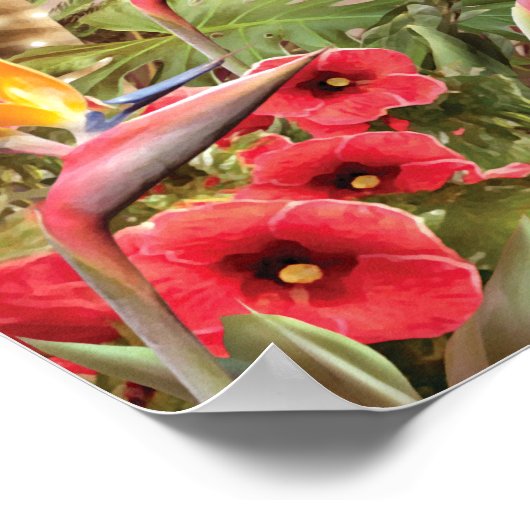 Alan Giana "Cadeaus in Paradise" Poster (Hoek)