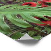 Alan Giana "Can You Imagine"-Poster Poster (Hoek)