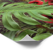 Alan Giana "Can you Stel je can 2"-Poster Poster (Hoek)