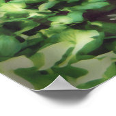 Alan Giana "Dragonfly Garden" Poster (Hoek)