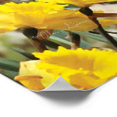 Alan Giana "Garden Friends" Poster (Hoek)