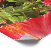 Alan Giana "Hibiscus in Paradise" Poster (Hoek)