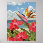 Alan Giana "Hibiscus in Paradise" Poster (Voorkant)