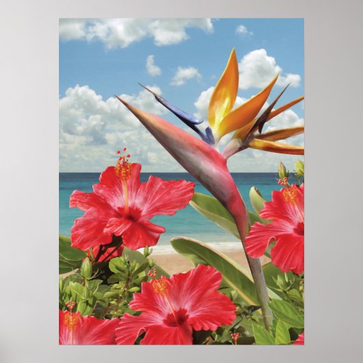 Alan Giana "Hibiscus in Paradise" Poster (Voorkant)