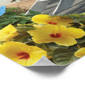 Alan Giana "In the Sunshine 3" Poster (Hoek)