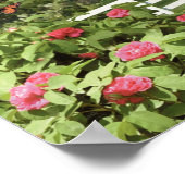 Alan Giana "Leaves of Green" Poster (Hoek)