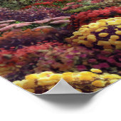 Alan Giana "Moonlight" Canvas Poster (Hoek)