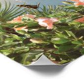 Alan Giana "Pelican Cove" Poster (Hoek)