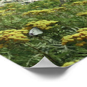 Alan Giana "Portland Head Light"-Poster Poster (Hoek)